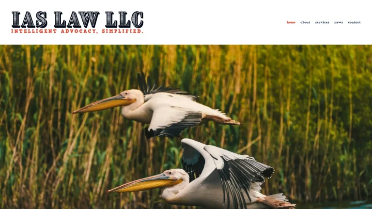 IAS LAW LLC - New Orleans, LA - Attorney in New Orleans