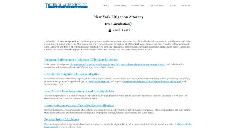 Peter M. Agulnick, P.C. - NYC, New York - Attorney in New York City