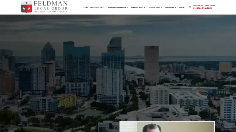 Feldman Legal Group - Atlanta, GA - Attorney in Atlanta