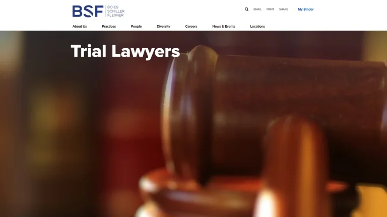 Boies Schiller Flexner LLP - Albany, NY - Attorney in Albany