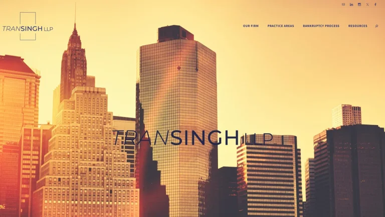 Tran Singh LLP - Houston, TX - Attorney in Houston