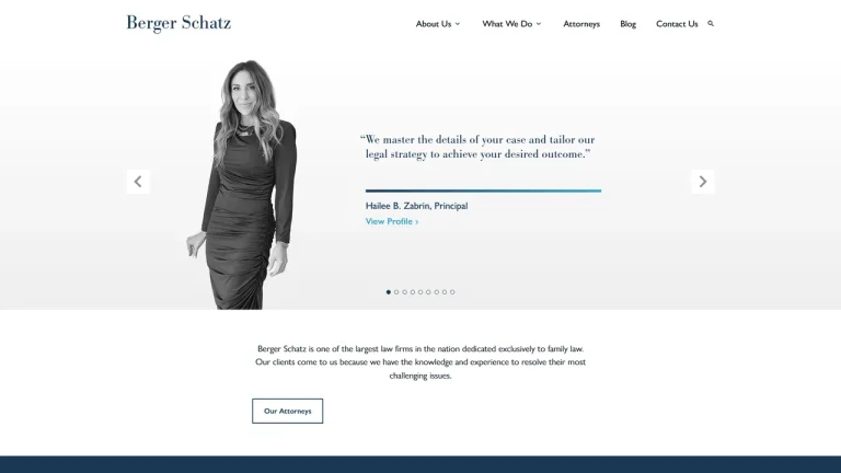 Berger Schatz - Chicago, IL - Attorney in Chicago