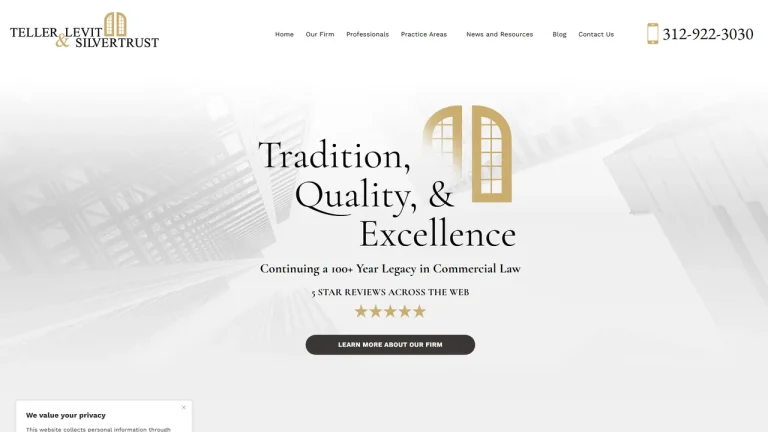 Teller Levit & Silvertrust - Chicago, IL - Attorney in Chicago