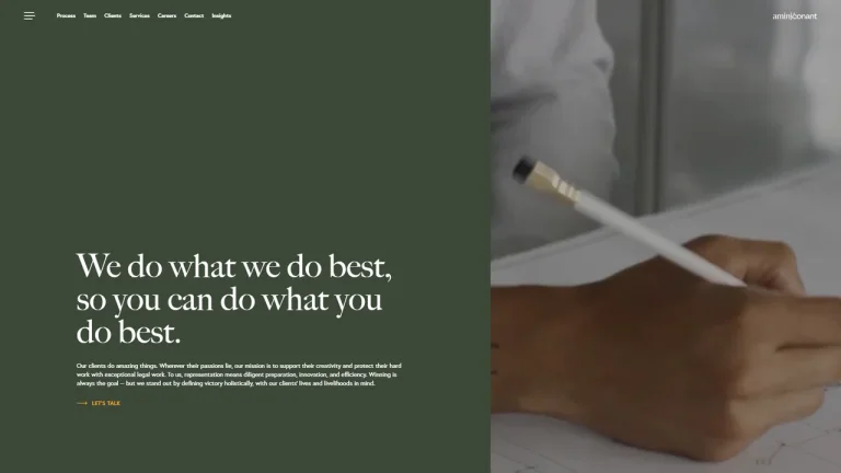 Amini & Conant, LLP - Austin, TX - Attorney in Austin