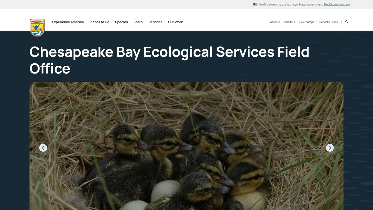 U.S. Fish and Wildlife Service - Chesapeake Bay Field Office - Annapolis, MD